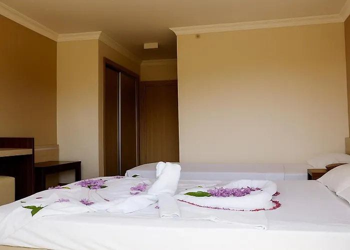 Magic Sun ベルディビ